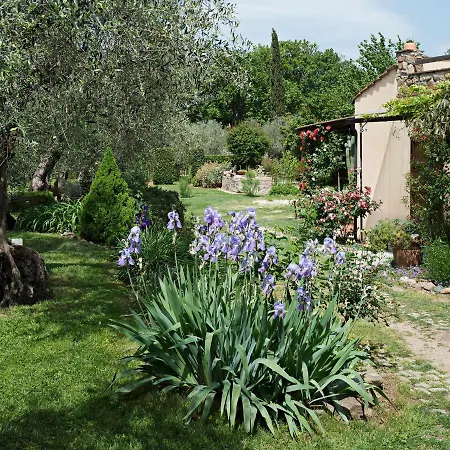 Bed & Breakfast I Glicini Castagneto Carducci
