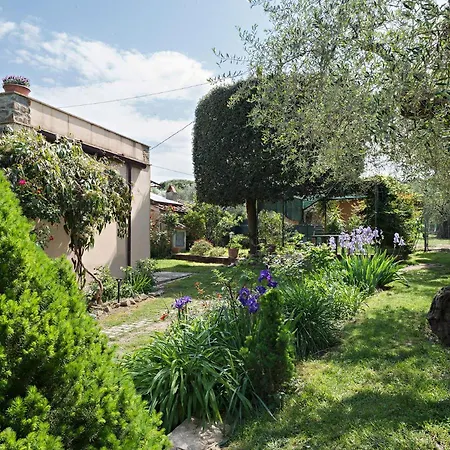 Bed & Breakfast I Glicini Castagneto Carducci