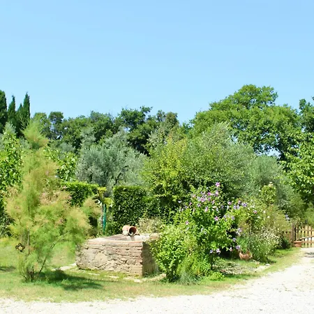 I Glicini * Castagneto Carducci