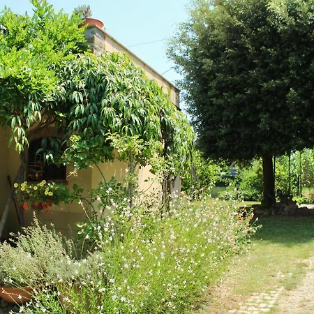 Bed & Breakfast I Glicini *