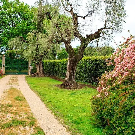 I Glicini Castagneto Carducci