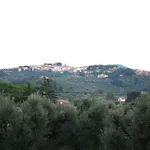 I Glicini Bed & Breakfast 3*